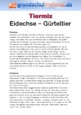 Eidechse - Gürteltier.pdf